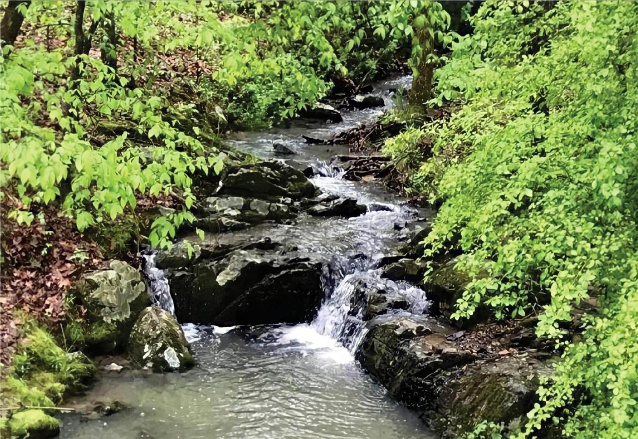 Secluded Home With Mini Waterfall And A Creek In Hot Springs Extérieur photo