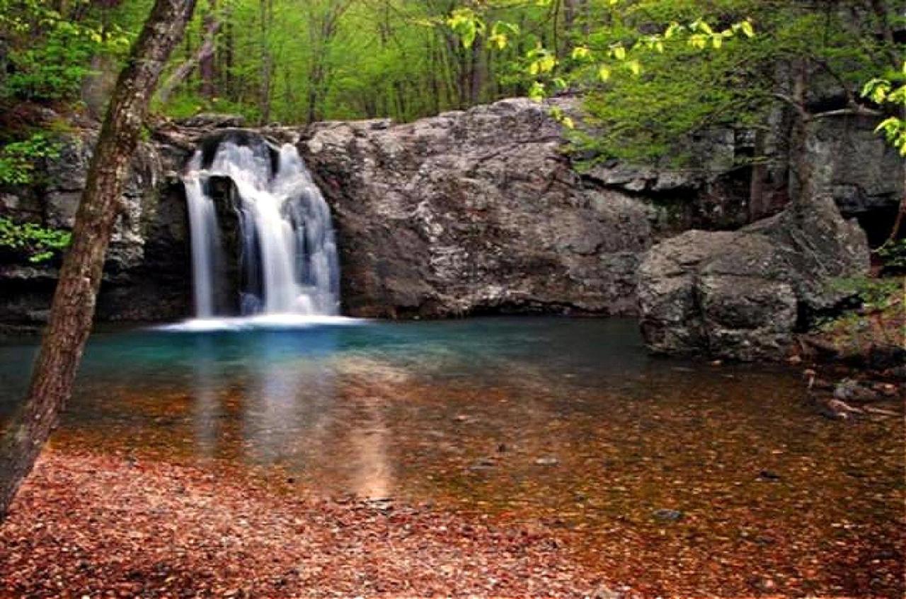Secluded Home With Mini Waterfall And A Creek In Hot Springs Extérieur photo